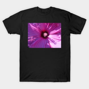 Purple Hibiscus T-Shirt